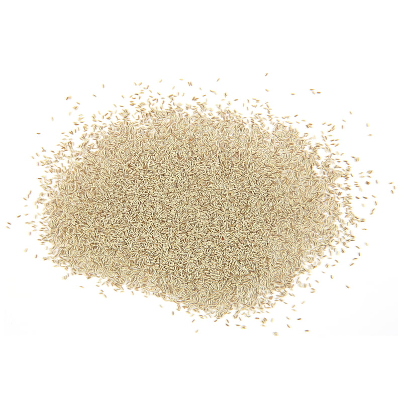 Chamomile Herbs 7500 Seeds Chamomile Herbs 7500 Seeds