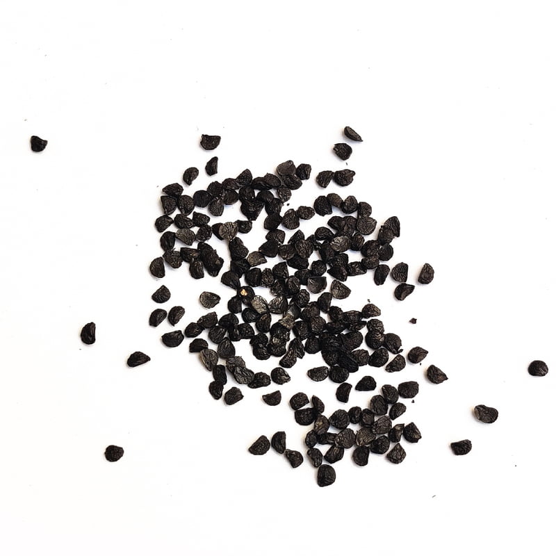 Chives Herbs 150 Seeds Chives Herbs 150 Seeds
