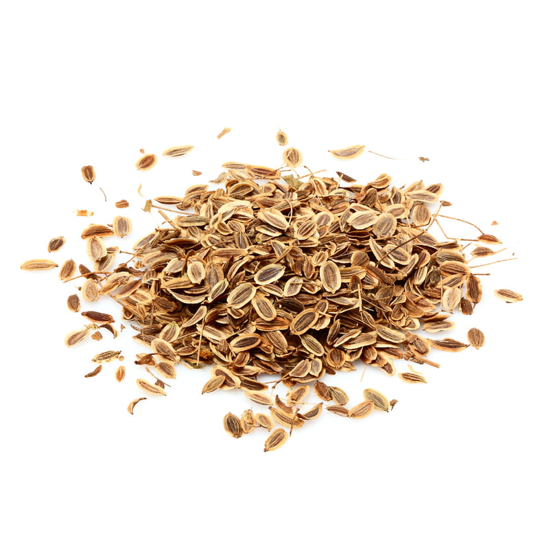 Dill Herbs 500 Seeds Dill Herbs 500 Seeds
