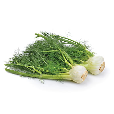Fennel Herbs 400 Seeds