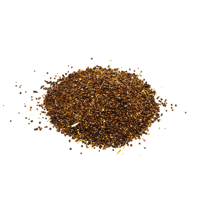 Kale Exotic 600 Seeds Kale Exotic 600 Seeds