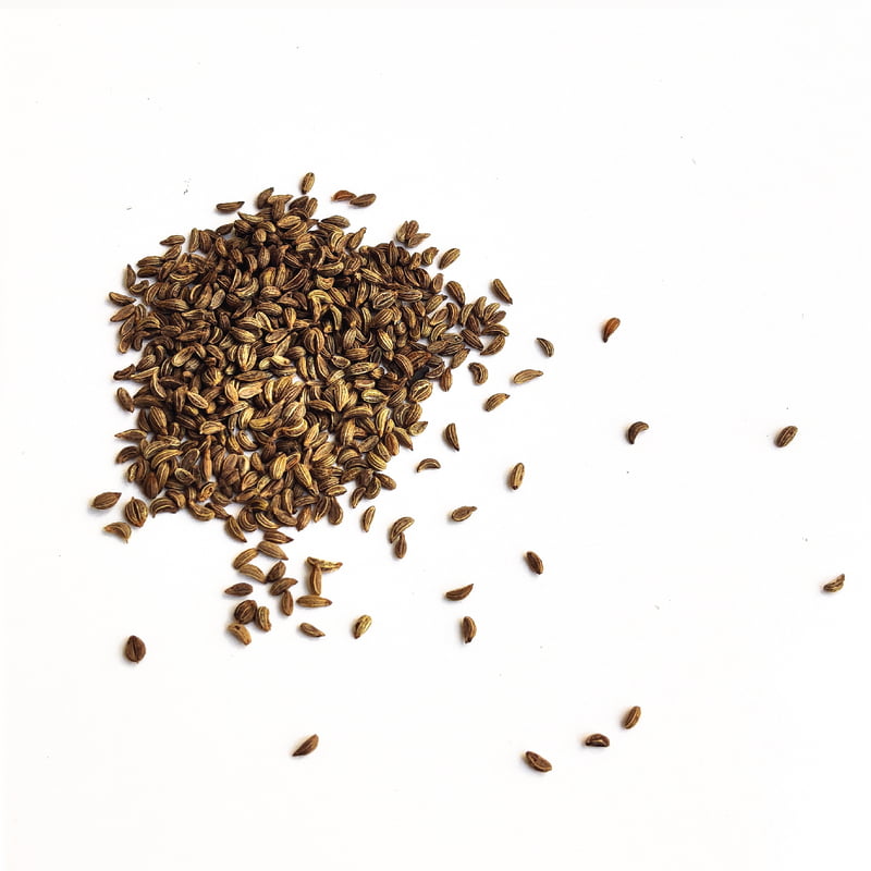 Parsley Exotic 425 Seeds Parsley Exotic 425 Seeds