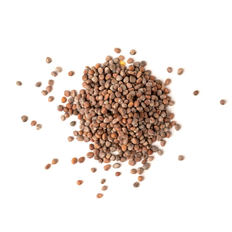 Radish Red Round Exotic 210 Seeds Radish Red Round Exotic 210 Seeds