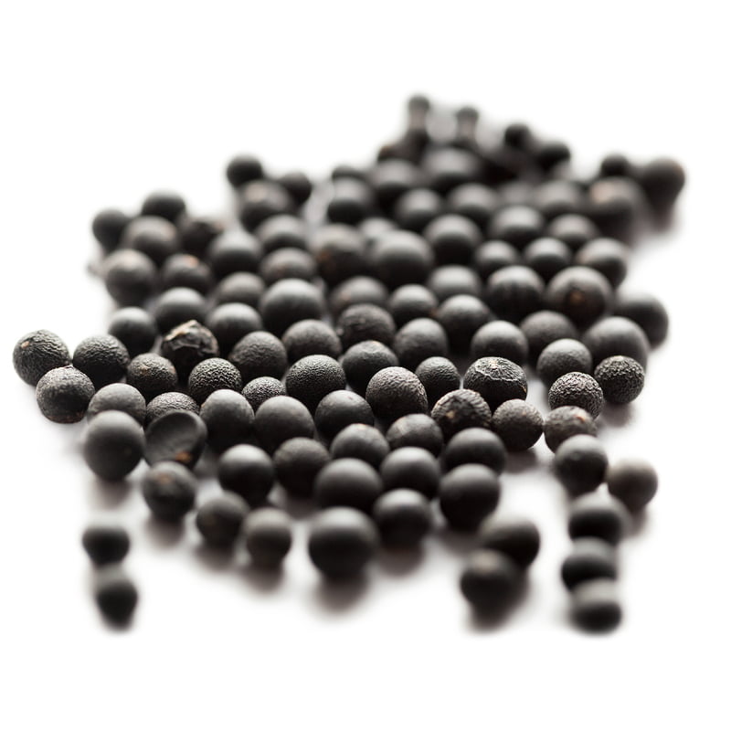 Asparagus Exotic 40 Seeds Asparagus Exotic 40 Seeds
