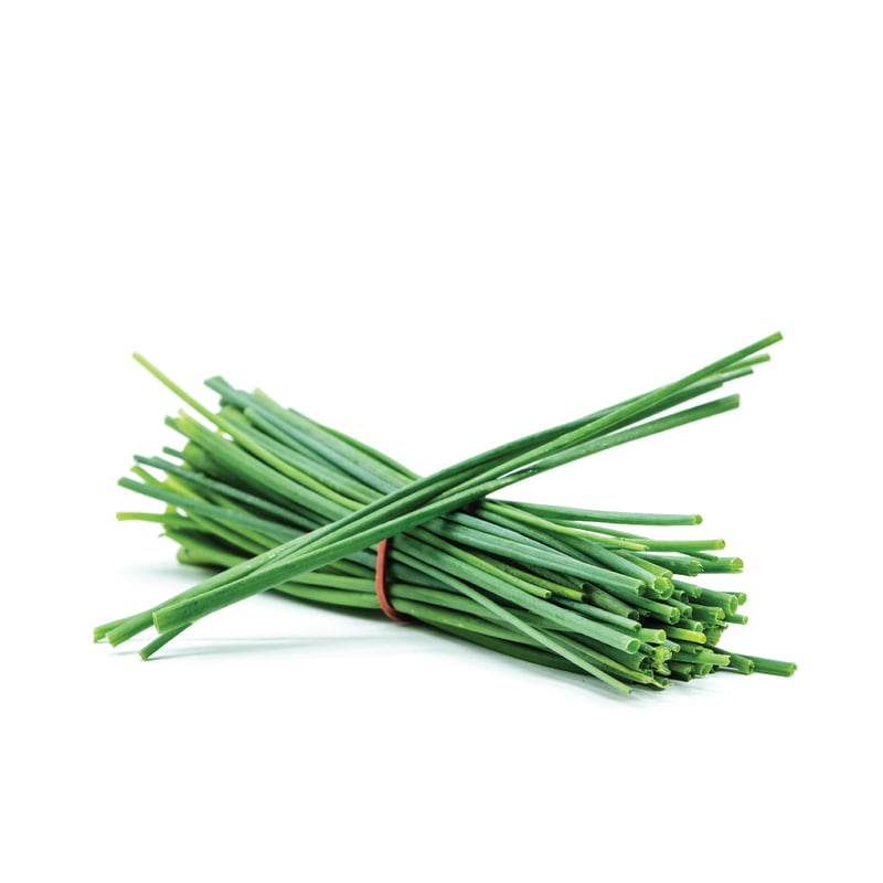Chives Herbs 150 Seeds Chives Herbs 150 Seeds