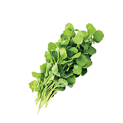 Cress Herbs 200 Seeds