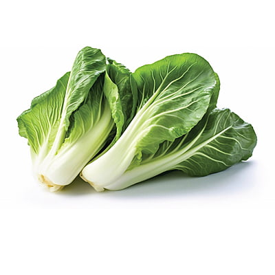 Pak Choi Exotic 500 Seeds