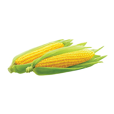 Sweet Corn Exotic 40 Seeds