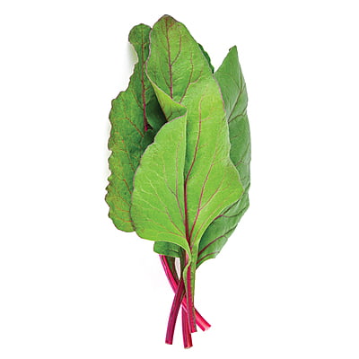 Swiss Chard Exotic 300 Seeds