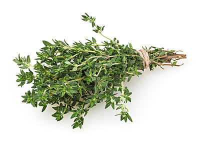 Thyme Herbs 800 Seeds