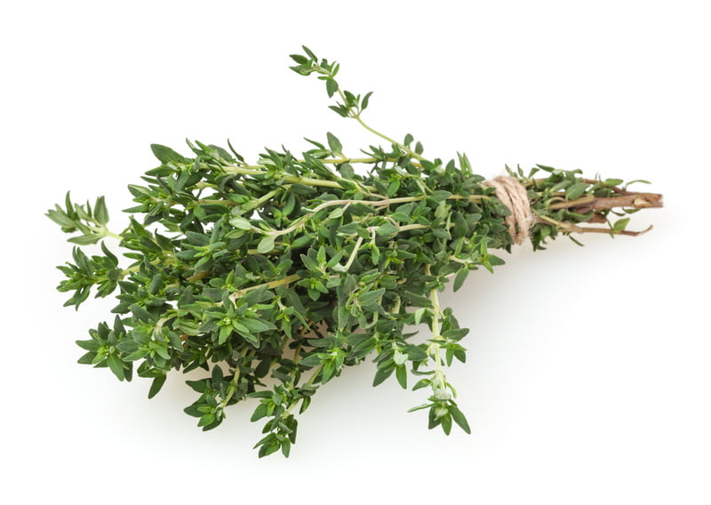 Thyme Herbs 800 Seeds Thyme Herbs 800 Seeds